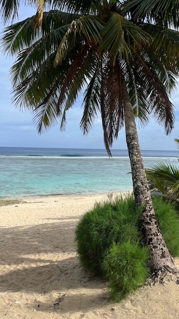 Beautiful Rarotonga!