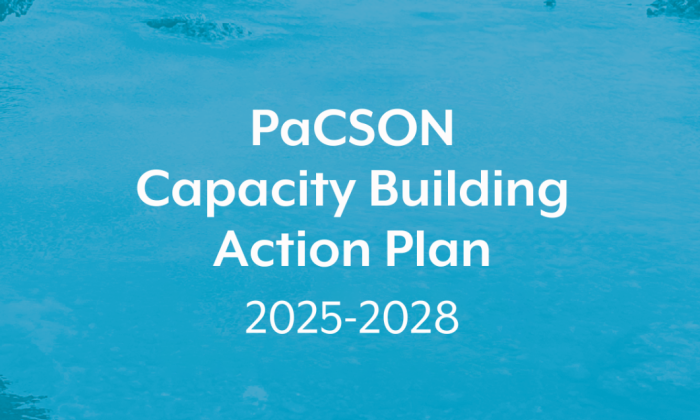 Capacity Building Action Plan Campaign